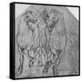'Two Horsemen', c1480 (1945)-Leonardo Da Vinci-Framed Stretched Canvas