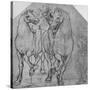 'Two Horsemen', c1480 (1945)-Leonardo Da Vinci-Stretched Canvas