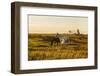 Two Horses at Sunset-kat72-Framed Photographic Print