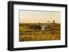 Two Horses at Sunset-kat72-Framed Photographic Print