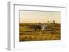 Two Horses at Sunset-kat72-Framed Photographic Print