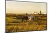 Two Horses at Sunset-kat72-Mounted Photographic Print