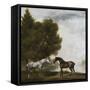 Two Horses Communing in a Landscape by George Stubbs-George Stubbs-Framed Stretched Canvas