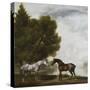 Two Horses Communing in a Landscape by George Stubbs-George Stubbs-Stretched Canvas