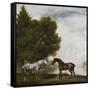 Two Horses Communing in a Landscape by George Stubbs-George Stubbs-Framed Stretched Canvas