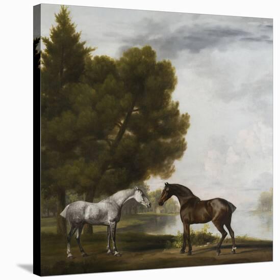 Two Horses Communing in a Landscape by George Stubbs-George Stubbs-Stretched Canvas