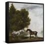 Two Horses Communing in a Landscape by George Stubbs-George Stubbs-Framed Stretched Canvas