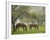 Two Horses Eating in Spring Pasture, Cape Elizabeth, Maine-Nance Trueworthy-Framed Photographic Print