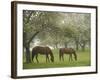 Two Horses Eating in Spring Pasture, Cape Elizabeth, Maine-Nance Trueworthy-Framed Photographic Print