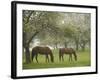 Two Horses Eating in Spring Pasture, Cape Elizabeth, Maine-Nance Trueworthy-Framed Photographic Print