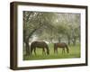 Two Horses Eating in Spring Pasture, Cape Elizabeth, Maine-Nance Trueworthy-Framed Photographic Print