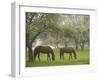 Two Horses Eating in Spring Pasture, Cape Elizabeth, Maine-Nance Trueworthy-Framed Photographic Print