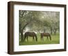 Two Horses Eating in Spring Pasture, Cape Elizabeth, Maine-Nance Trueworthy-Framed Photographic Print