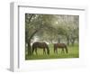 Two Horses Eating in Spring Pasture, Cape Elizabeth, Maine-Nance Trueworthy-Framed Photographic Print