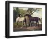 Two Horses in a Landscape-George Stubbs-Framed Giclee Print