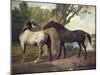 Two Horses in a Landscape-George Stubbs-Mounted Giclee Print