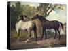Two Horses in a Landscape-George Stubbs-Stretched Canvas