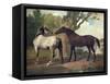 Two Horses in a Landscape-George Stubbs-Framed Stretched Canvas