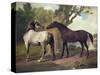 Two Horses in a Landscape-George Stubbs-Stretched Canvas