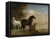 Two Horses in a Meadow Near a Gate-Paulus Potter-Framed Stretched Canvas