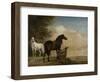 Two Horses in a Meadow Near a Gate-Paulus Potter-Framed Art Print