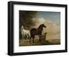 Two Horses in a Meadow Near a Gate-Paulus Potter-Framed Art Print