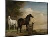 Two Horses in a Meadow Near a Gate-Paulus Potter-Mounted Art Print