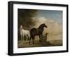 Two Horses in a Meadow Near a Gate-Paulus Potter-Framed Art Print