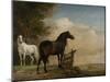 Two Horses in a Meadow Near a Gate-Paulus Potter-Mounted Art Print