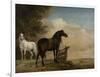 Two Horses in a Meadow Near a Gate-Paulus Potter-Framed Premium Giclee Print