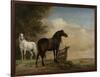 Two Horses in a Meadow Near a Gate-Paulus Potter-Framed Premium Giclee Print
