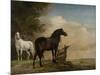 Two Horses in a Meadow Near a Gate-Paulus Potter-Mounted Premium Giclee Print