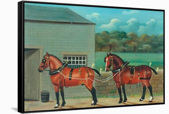 Two Horses in Harness, c.1910-null-Framed Stretched Canvas