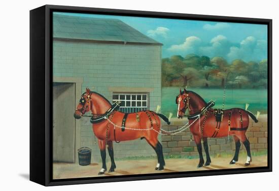 Two Horses in Harness, c.1910-null-Framed Stretched Canvas