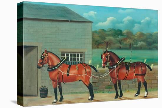 Two Horses in Harness, c.1910-null-Stretched Canvas