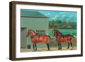 Two Horses in Harness, c.1910-null-Framed Giclee Print