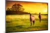 Two Horses in Meadow at Sunset-Chris_Elwell-Mounted Photographic Print