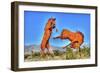 Two Horses-Robert Kaler-Framed Photographic Print