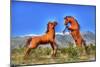 Two Horses-Robert Kaler-Mounted Photographic Print