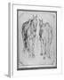 Two Horses-Antonio Pisani Pisanello-Framed Giclee Print