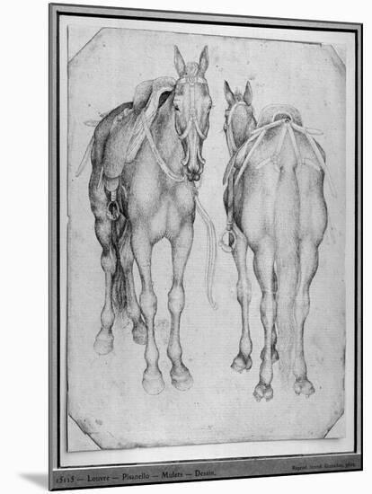 Two Horses-Antonio Pisani Pisanello-Mounted Giclee Print