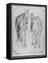 Two Horses-Antonio Pisani Pisanello-Framed Stretched Canvas