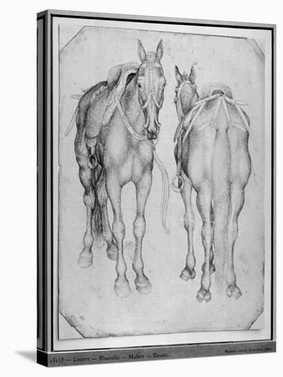 Two Horses-Antonio Pisani Pisanello-Stretched Canvas
