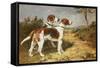 Two Hounds in a Landscape-John Emms-Framed Stretched Canvas