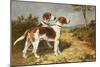 Two Hounds in a Landscape-John Emms-Mounted Giclee Print