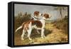 Two Hounds in a Landscape-John Emms-Framed Stretched Canvas