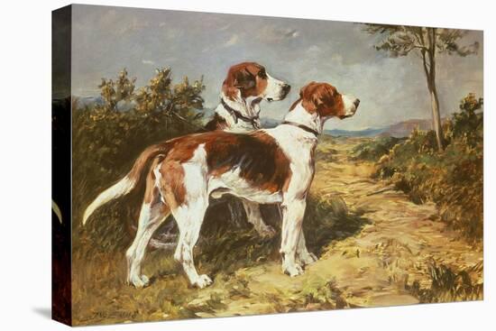 Two Hounds in a Landscape-John Emms-Stretched Canvas