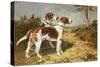 Two Hounds in a Landscape-John Emms-Stretched Canvas