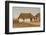 Two Houses in Barranquilla, Colombia-Frederic Edwin Church-Framed Premium Giclee Print