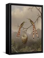 Two Hummingbirds with Their Young, c.1865-Martin Johnson Heade-Framed Stretched Canvas